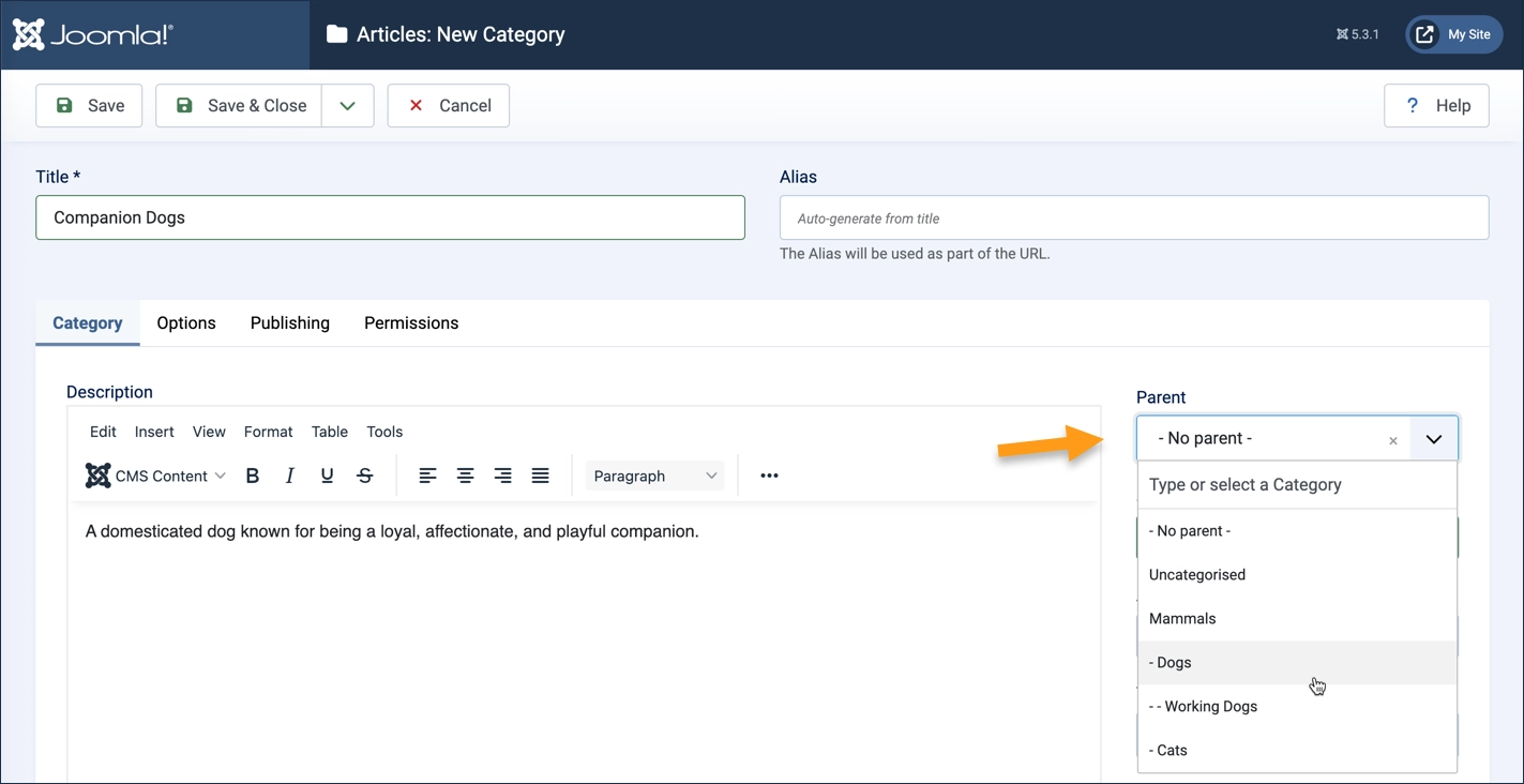 Screenshot of the new-category form