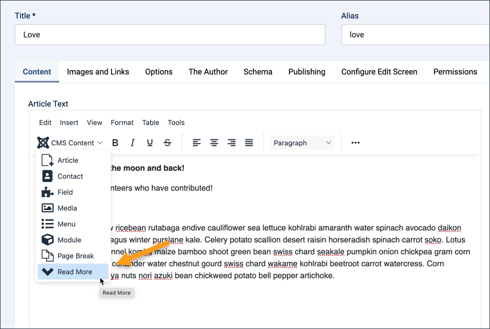Screenshot showing the read-more link being inserted from the menu