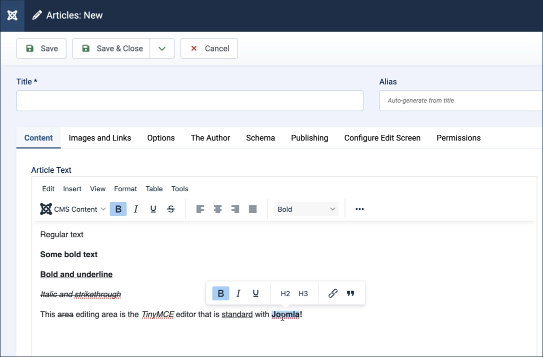 Screenshot of the text editing area with a bold section of text highlighted