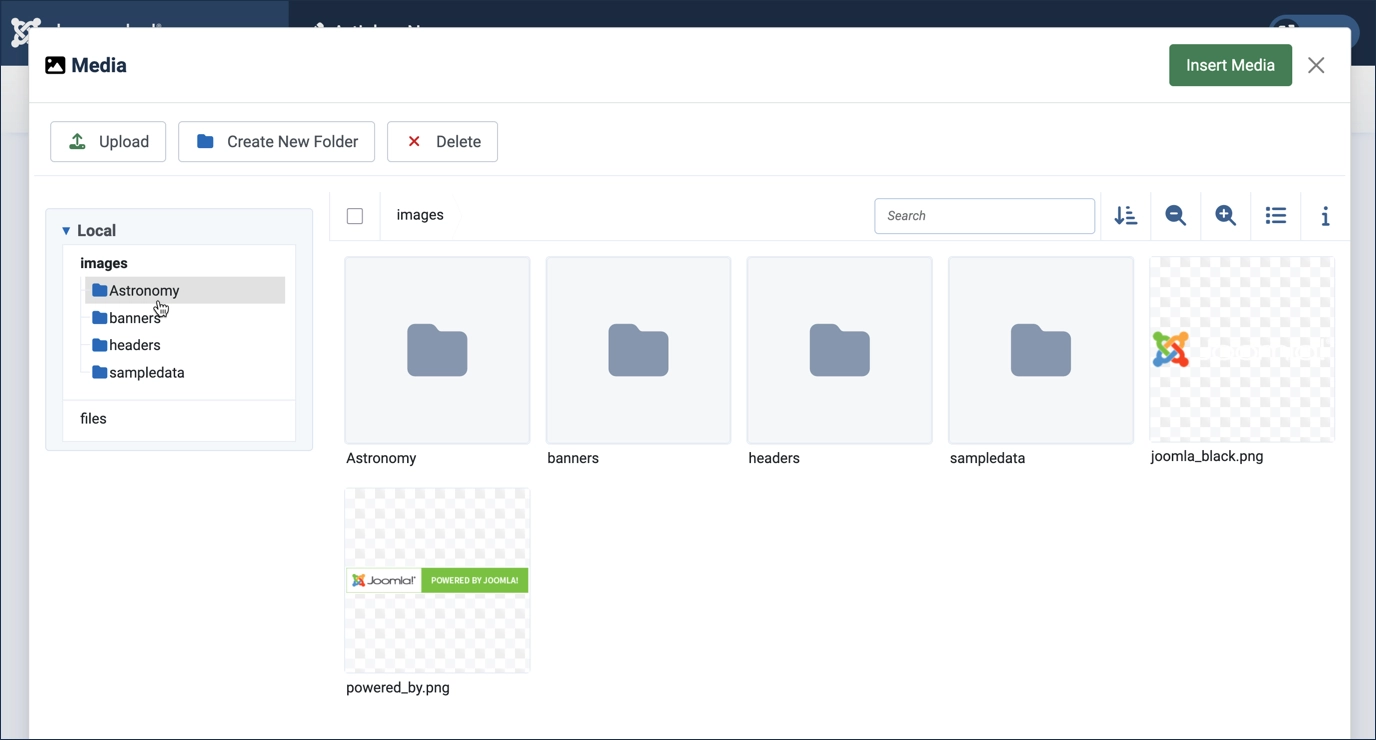 Creating a folder for the article images