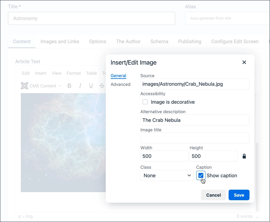The image properties window with the show caption option checked