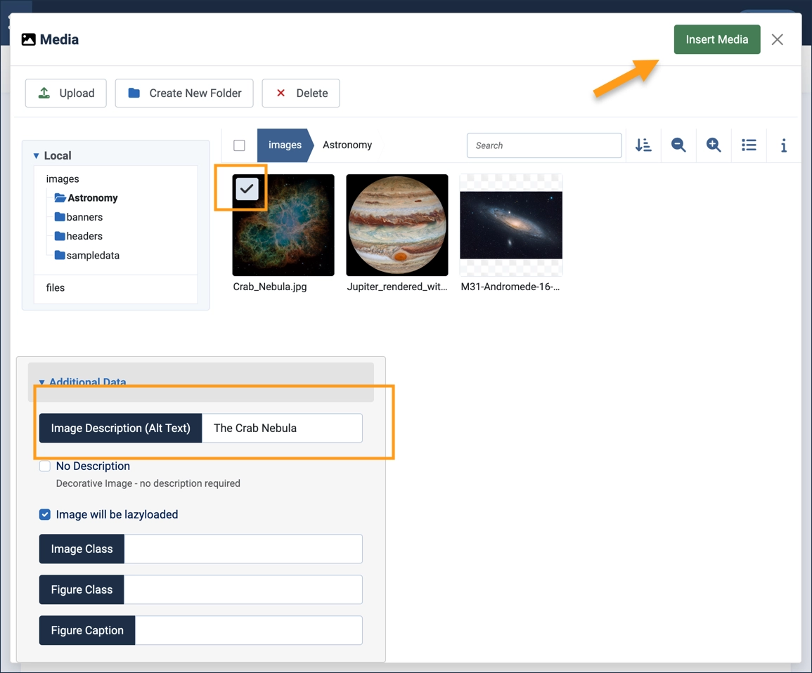 Adding alternate text and inserting the image