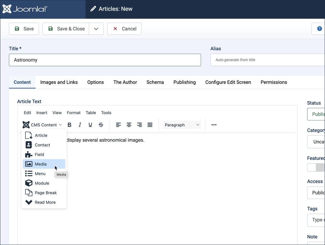 The Media menu under CMS Content