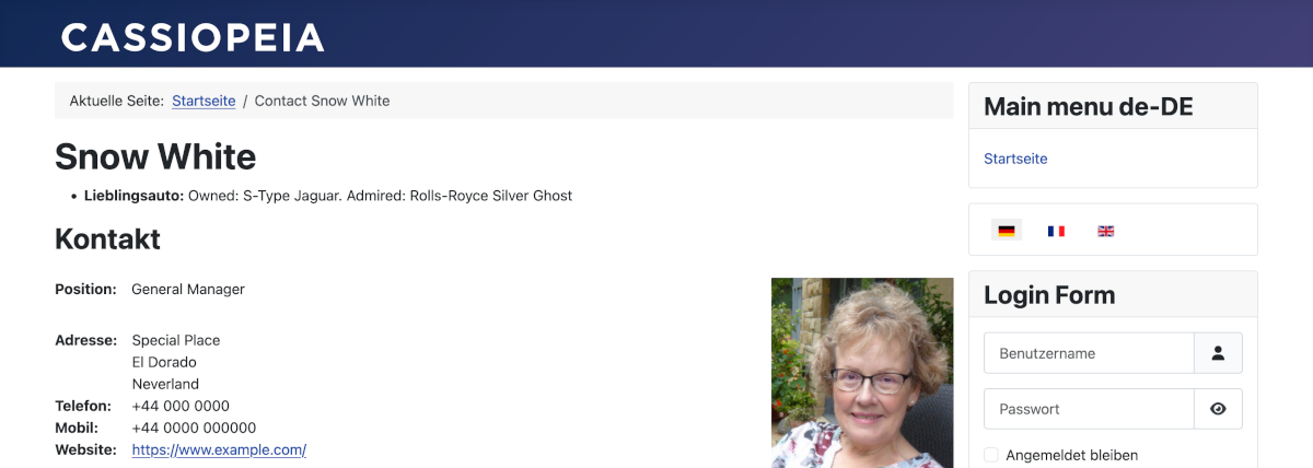 Data display in German Data display in German