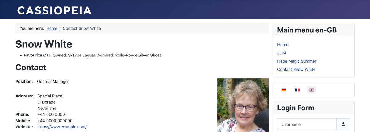 Data display in English Data display in English