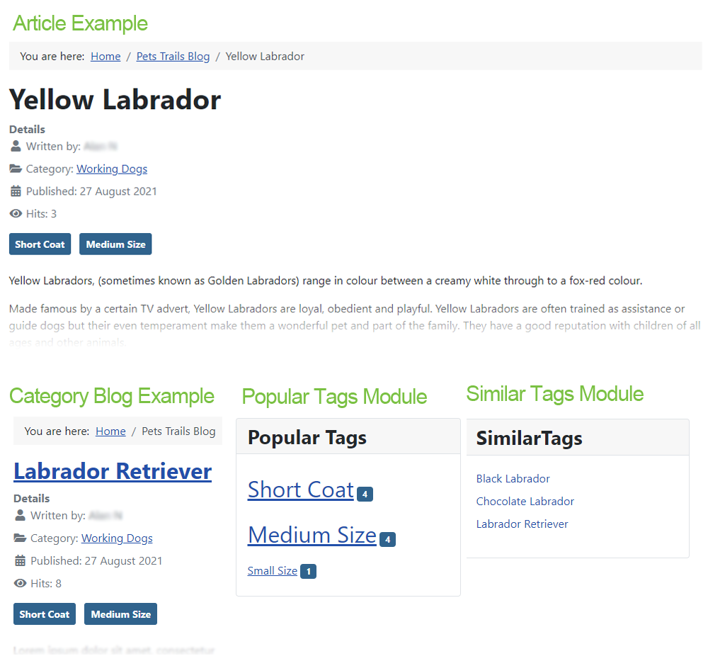 tags usage site example yellow labrador