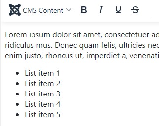 Screenshot of editor with unordered list
