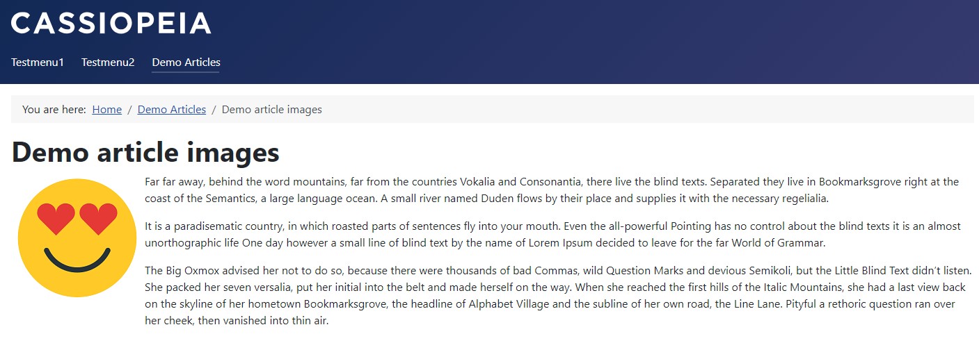 Screenshot full article image