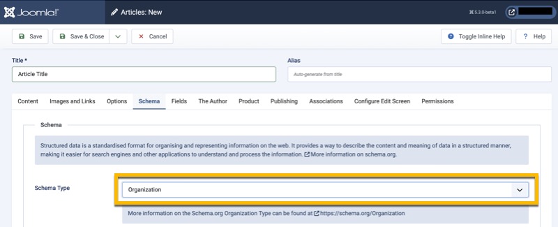 Schema.org Organization type selected in dropdown